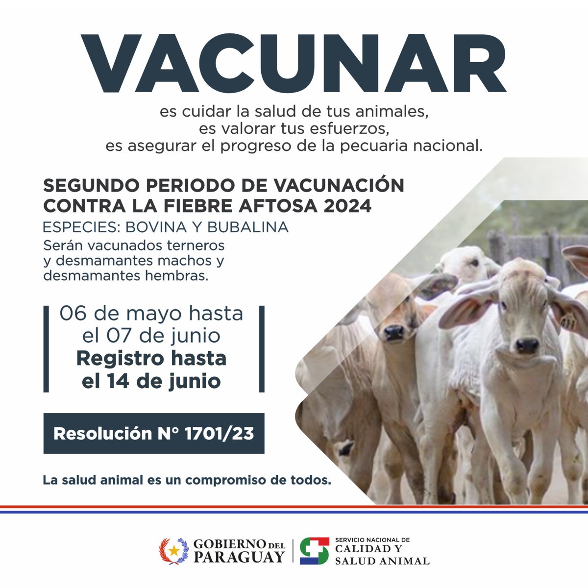 SENACSA (@senacsa) on Twitter photo 