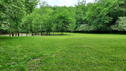 MullinsRealty's tweet photo. Looking for a brick ranch ✅ with a DETACHED GARAGE, ✅ NO HOA ✅ plus LAND ✅ ??? This is it!!!✅ ✅ ✅ 
1620 N. Greenhill Rd. Mt. Juliet, TN 37122
Improved Price!! https://t.co/ZjoDOArxJD