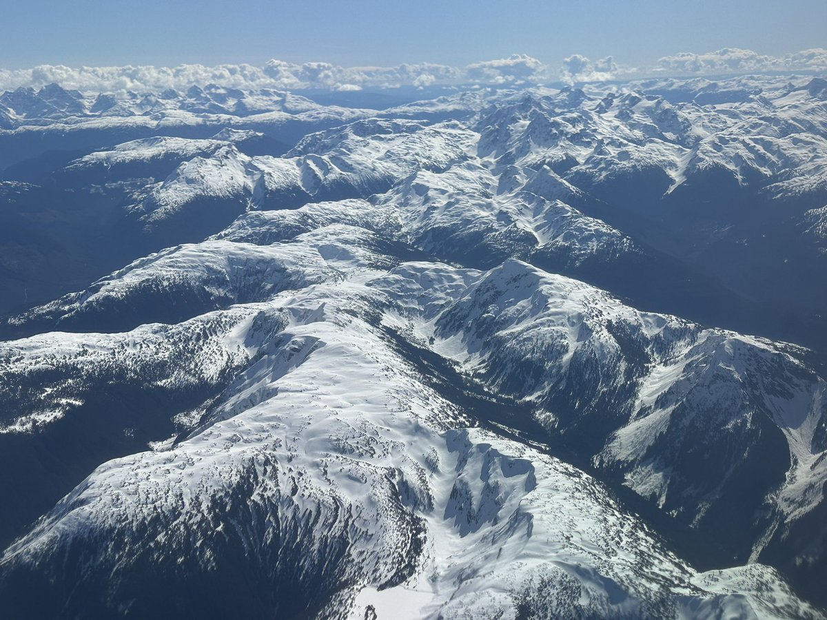 Shuttle14🇨🇦 tweet media