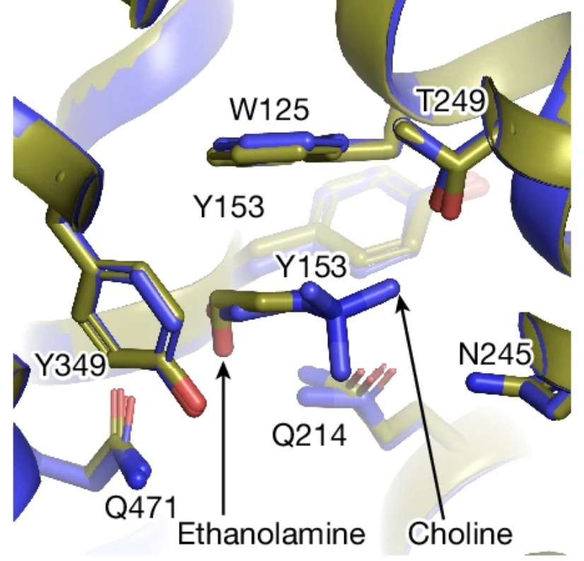 Hite Lab tweet media