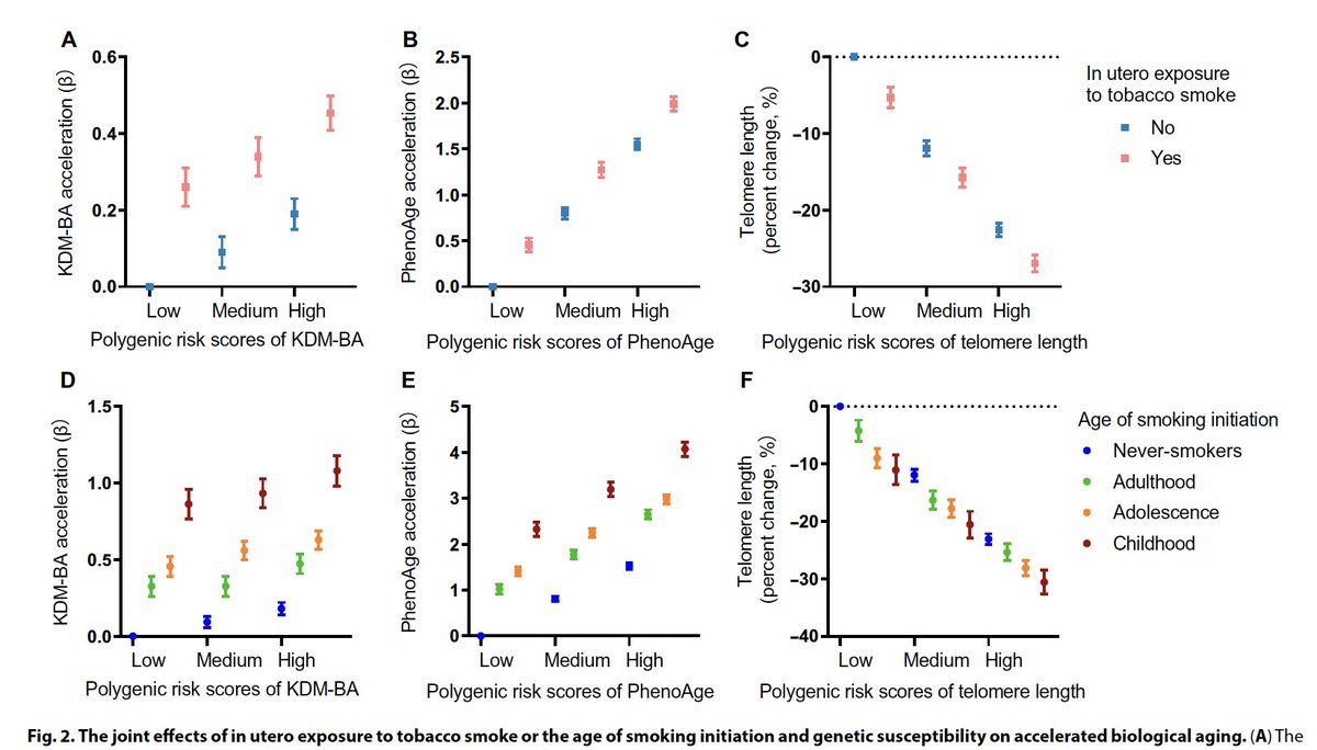 The link between fetal (in utero) and childhood exposure to tobacco smoke, and metrics of accelerated biological aging science.org/doi/10.1126/sc…
<a href="/ScienceAdvances/">Science Advances</a> across the range of polygenic risk scores for aging