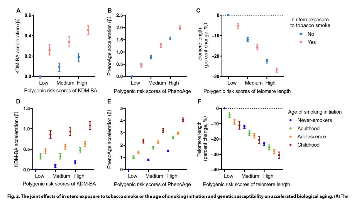 The link between fetal (in utero) and childhood exposure to tobacco smoke, and metrics of accelerated biological aging science.org/doi/10.1126/sc…
@ScienceAdvances across the range of polygenic risk scores for aging