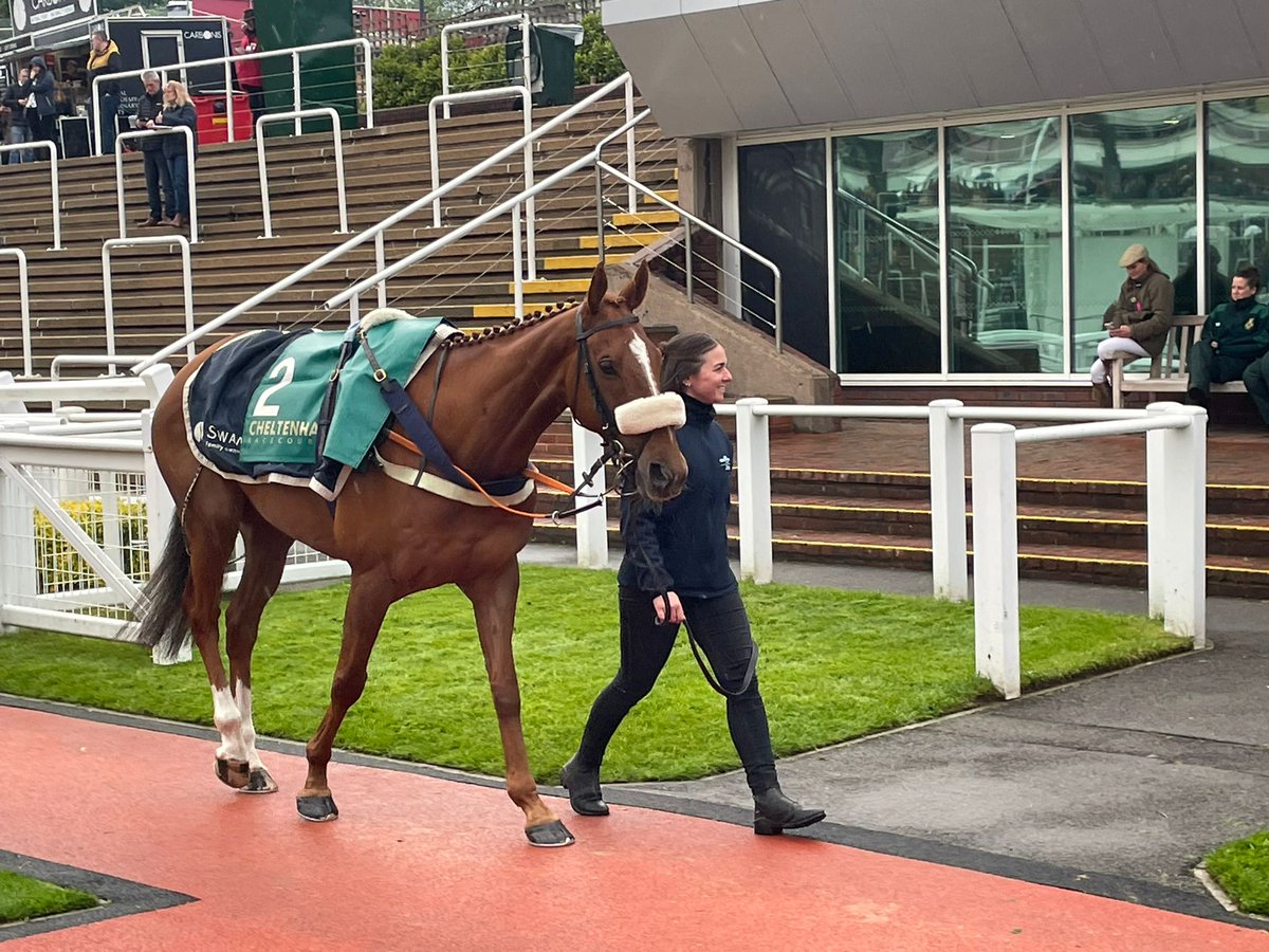 A great win for Gaboriot @CheltenhamRaces for @G_G_Racing and a fine ride by Harry Myddleton, held up and merely pushed out over the 4m trip, Two big races hopefully next season.