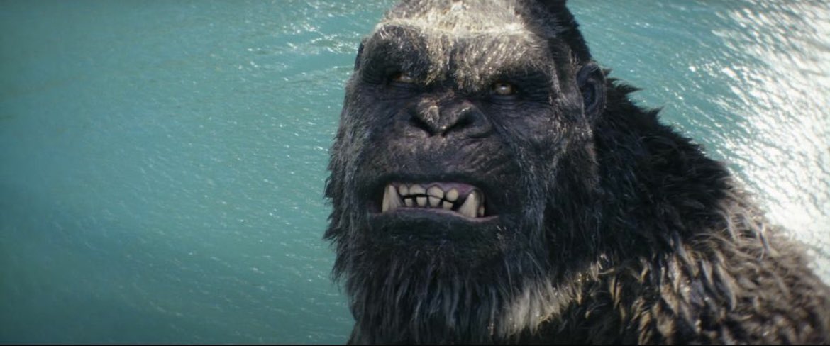 Godzilla x Kong: The New Empire-2/10

Embarrassing that grown adults made these choices. Complete & total nonsense with the most mind numbing jumble of flashing VFX. Trying to make it lighthearted should work but it just makes it worse

@GodzillaXKong #GodzillaXKong #MovieReviews