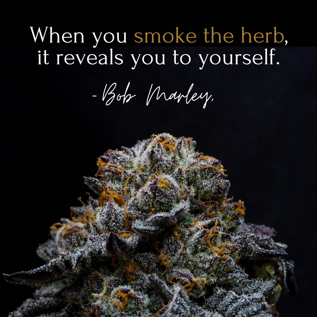 You can't beat the classics. What does "the herb" reveal about you?

#washington #washingtontacoma #agrocouture #washingtonproducts #goods