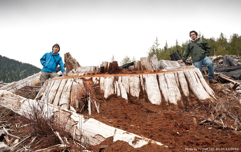 Saturday | 10:05 Ben Parfitt on a Ministry of Forests map that radically departs from recommendations of panel appointed by the B.C. government to advise it on how to protect B.C.’s old growth forests. @CCPA_BC @BenParfittCCPA @TorranceCoste @wildernews @SierraClubBC #bcpoli