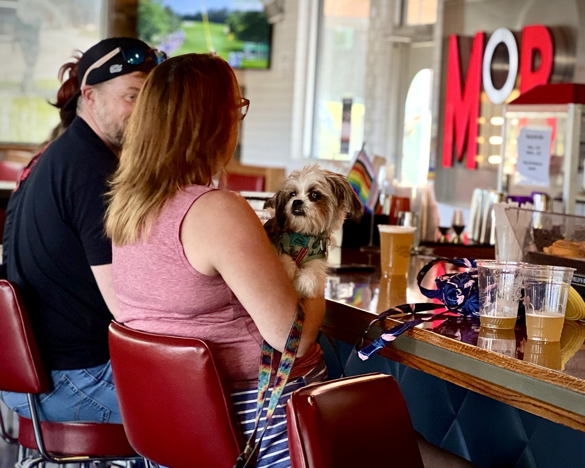 Happy Friday, #Knoxville!! 
We've got a seat at the bar for you!! 

#MoBKnox #OldCityKnox #LoveDowntownKnox #KnoxRocks