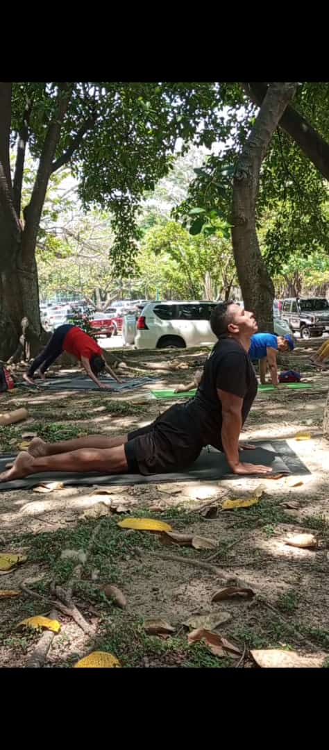 Luiborges's tweet photo. #yogaday #urdhvamukhasvanasana #perro1 #perro2 #adhomukhasvanasana #fisioterapiadeportiva #streching #yogaeveryday https://t.co/3MXagVJrf6