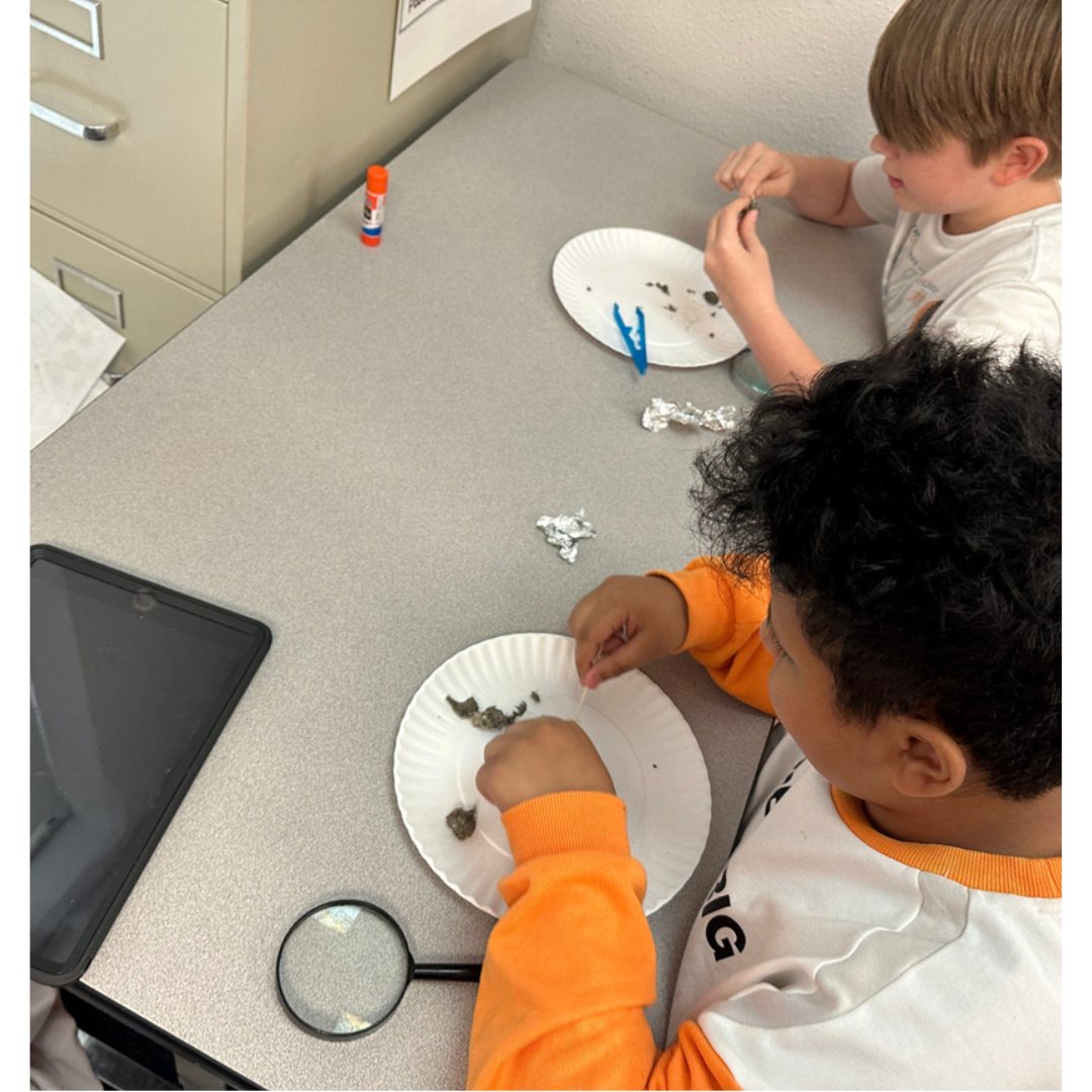 Exploring the fascinating world of owl pellets with our curious 5th graders! 🦉🔍 Engaging hands-on learning experiences spark curiosity and deepen understanding. #ScienceDiscovery #HandsOnLearning #CuriousMinds #PlanoISD #LevelUpPlanoISD #meadowselementary