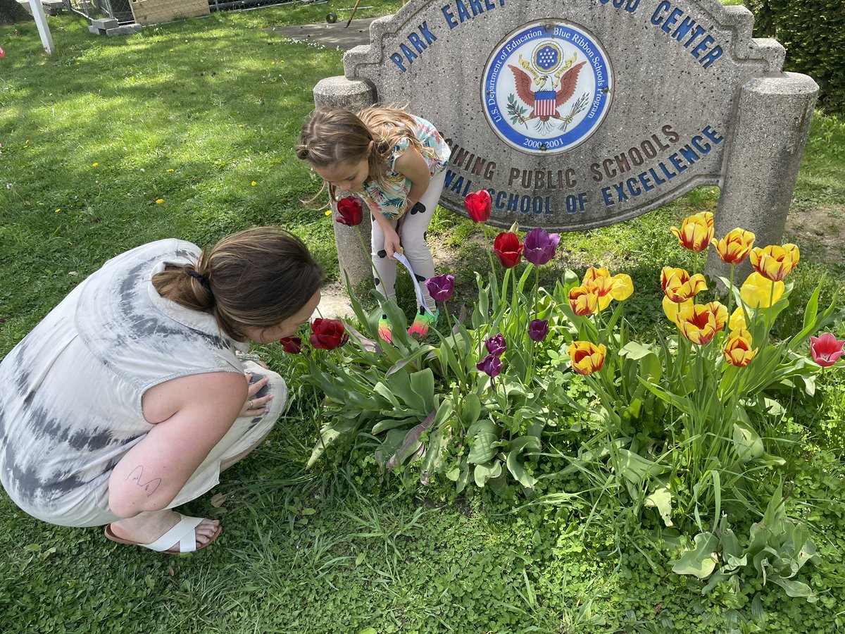 What a beautiful day to read the book you wrote to your teacher… then take a minute to stop and smell the flowers! @OssiningSchools @EMercadoAP @ParkPrinc @MsTharas