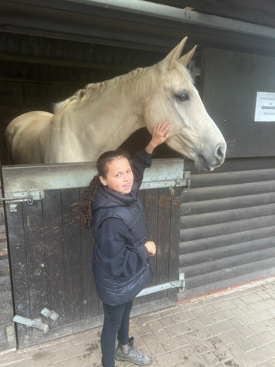 Little hands, big hearts! 🐴❤️ Our Junior Steps learners at Cardiff Riding School are not just riding horses, they're learning to care for them too. Every day is a new adventure in compassion and responsibility. #YoungEquestrians #CardiffCaring @YsgolGlanMorfa