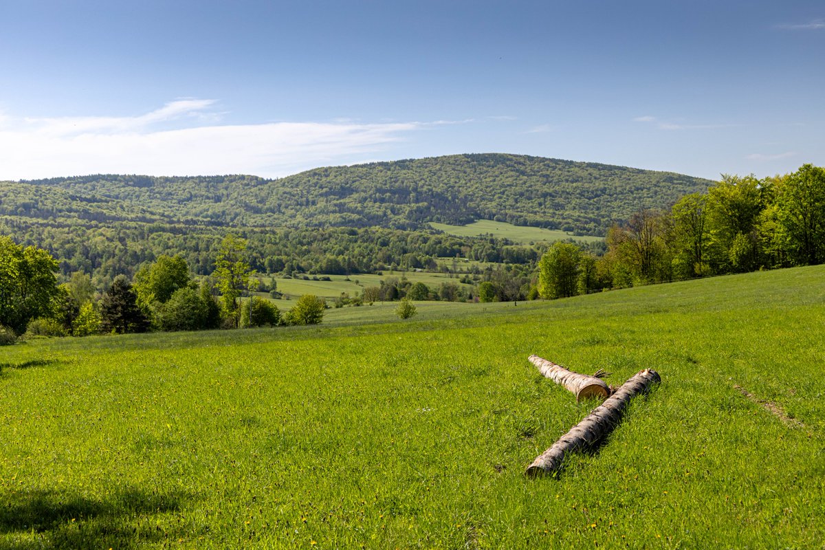 Bartne valley in Low Beskidy mountains.