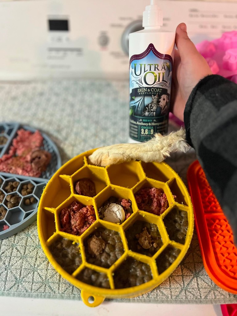 Ultra Oil is an amazing healthy topper for your pet's meals.

Raw fed or kibble we recommend applying a few pumps (according to pet's weight) to their meal for essential fatty acids and balanced omegas 3, 6, and 9!

📸: @themodernfurmama