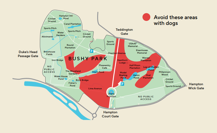 From 1 May to 31 July, 'dogs on leads' will be mandatory at Bushy Park and Richmond Park. If you are visiting the parks with your furry friends, please be sure to check out these handy maps on what parts of the park to avoid. More info here: bit.ly/4bjzpGq