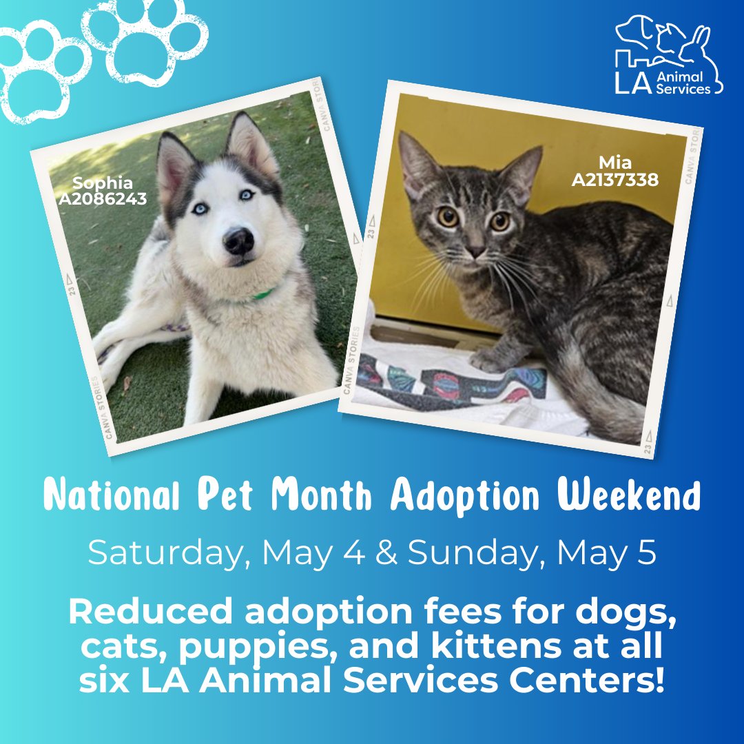 May is #NationalPetMonth! 🐾 To encourage the community to adopt a pet, we're offering reduced adoption fees for dogs, cats, puppies, and kittens on this weekend! #lacitypets #HumaneLA #adopt #foster #adoptdontshop #adoptashelterpet