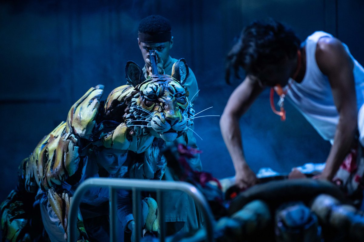 You have just TWO months left to catch @Lolitachakra’s “spellbinding” stage adaptation of Yann Martel’s Booker Prize-winning novel! 🌊🐯 lifeofpionstage.com #LifeofPiTour