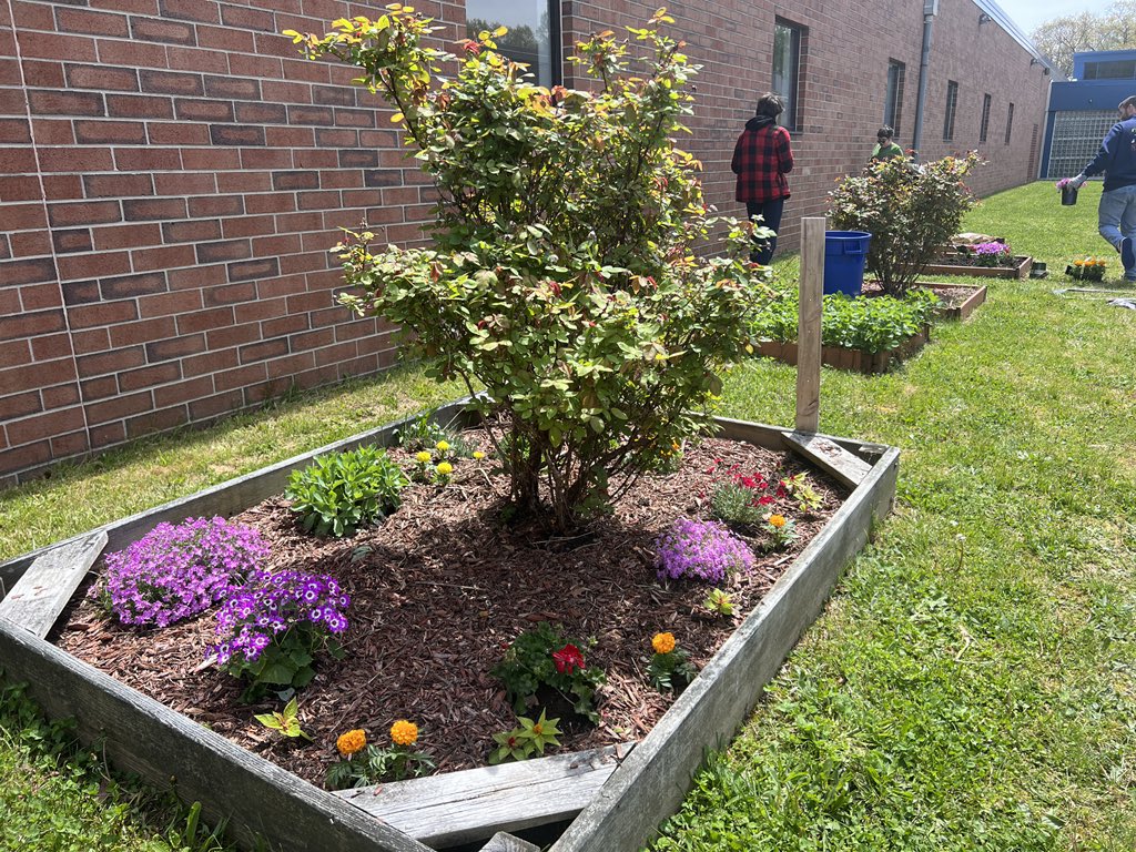 MrsG_ForanAP (@mrsg_foranap) on Twitter photo Look at our beautiful gardens maintained by our work study program. Thank you to Mr. Chiapetta and his students! 🌸🌷🌻<a href="/ManeStMirror/">Mane Street Mirror</a> <a href="/MrBLionPride/">Mr. Berkowitz</a> <a href="/MrsKelly_FHS/">Dena Kelly</a> Look at our beautiful gardens maintained by our work study program. Thank you to Mr. Chiapetta and his students! 🌸🌷🌻<a href="/ManeStMirror/">Mane Street Mirror</a> <a href="/MrBLionPride/">Mr. Berkowitz</a> <a href="/MrsKelly_FHS/">Dena Kelly</a>