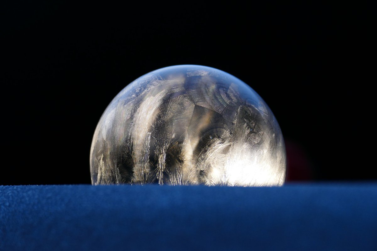 Very likely this could be could be my last full freeze #FrozenBubble until later this year. #FrozenBubbles #IceBubbles #FrozenBubblePhotography #BubbleMadness #Photography