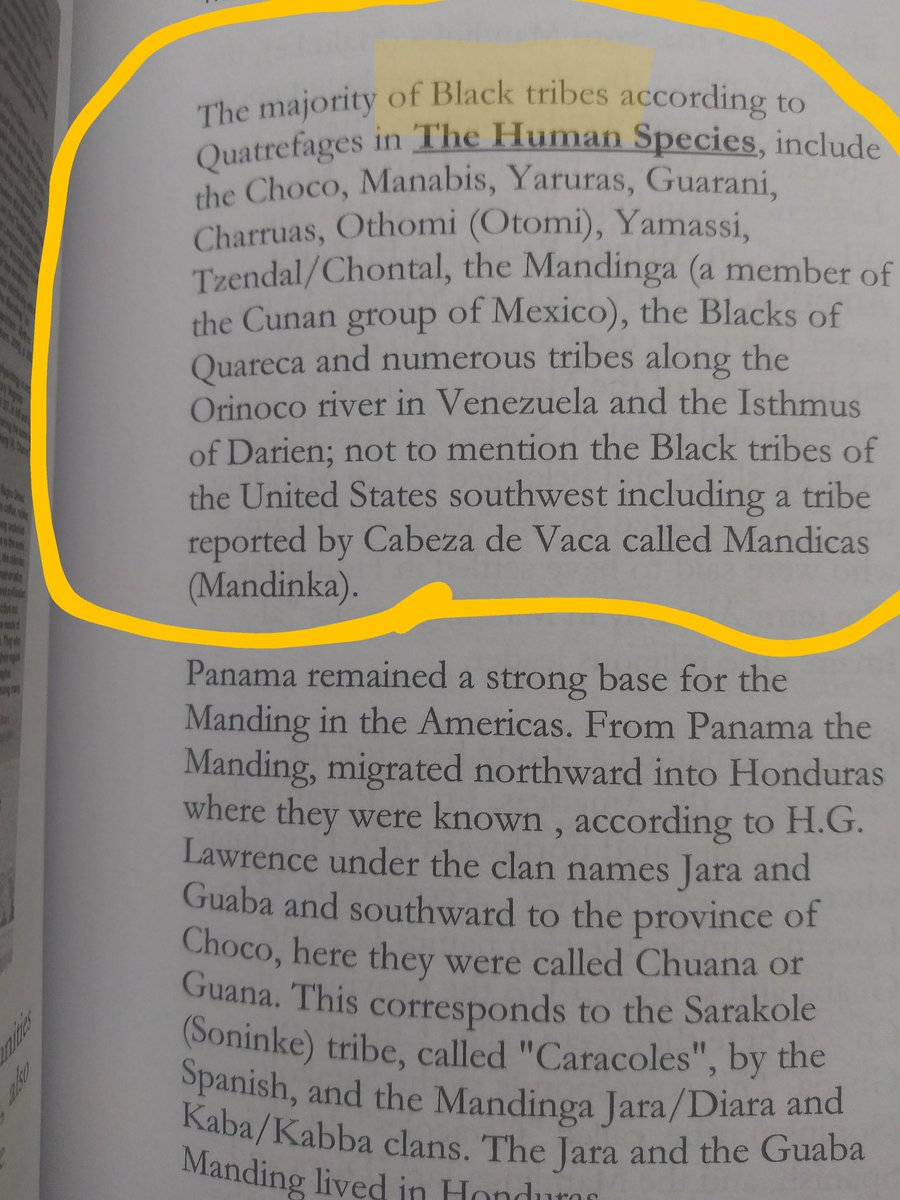 @darvidosiris List is as follows = 1.) The diminutive Blacks Ex: Batwa & Ainu Phenotypes (Yt Folks tried to claim the Ainu as Caucasian BUT their NOT😐) 2.) Australoids 3.) Asiatic Negroids 4.) Algonquins 5.) Eskimos/Inuits going in that SPECIFIC order 🔎⤵⤵🔻🔻🔻