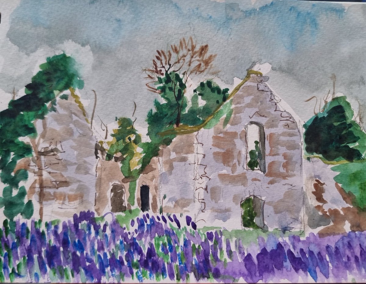 Bluebells amongst the ruins by the shores of the lough #Donegal Mallett Fine Art sketchbook