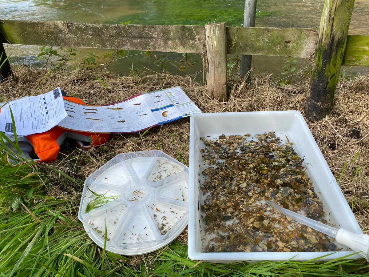 Riverfly monitoring resumed this month after a winter break to allow for fish spawning. Education and Environment Officer Dr Liz Mattison was out on the River Pang this week and was pleased to find caseless caddisfly, cased caddisfly, mayflies and flat-bodied stone clingers.