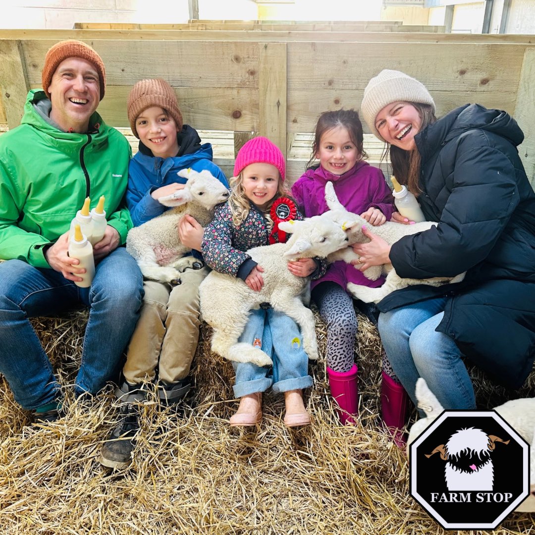 🐑😍HAPPY FRI-YAY!😍🐑 

Hope you all have a BAA-rilliant weekend 🥰

🐑 farmstop.co.uk 🐑 

#farmstopaberdeenshire #visitaberdeenshire #visitscotland #animallover #farmvisit #farmtours #farminglife #sheepfarm #sheeplove #sheeplover #lamb #lambing #lamblover #petlambs