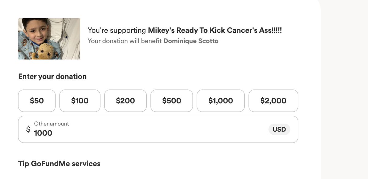 first donation going live now!

$MIKEY