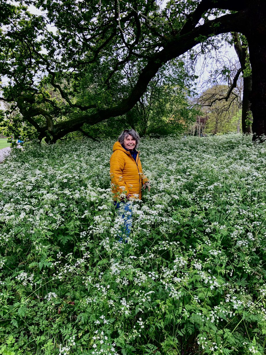 Just me surrounded by cow parsley - lots and lots of it at Kew Gardens. A rare photo taken of me by my husband @gordonwadey ! @kewgardens #kewgardens @Visit_Richmond1 #cowparsley