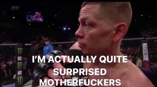 Anthony Smith after being brutally KOd by Petrino despite the fact he is the better MMA fighter on paper