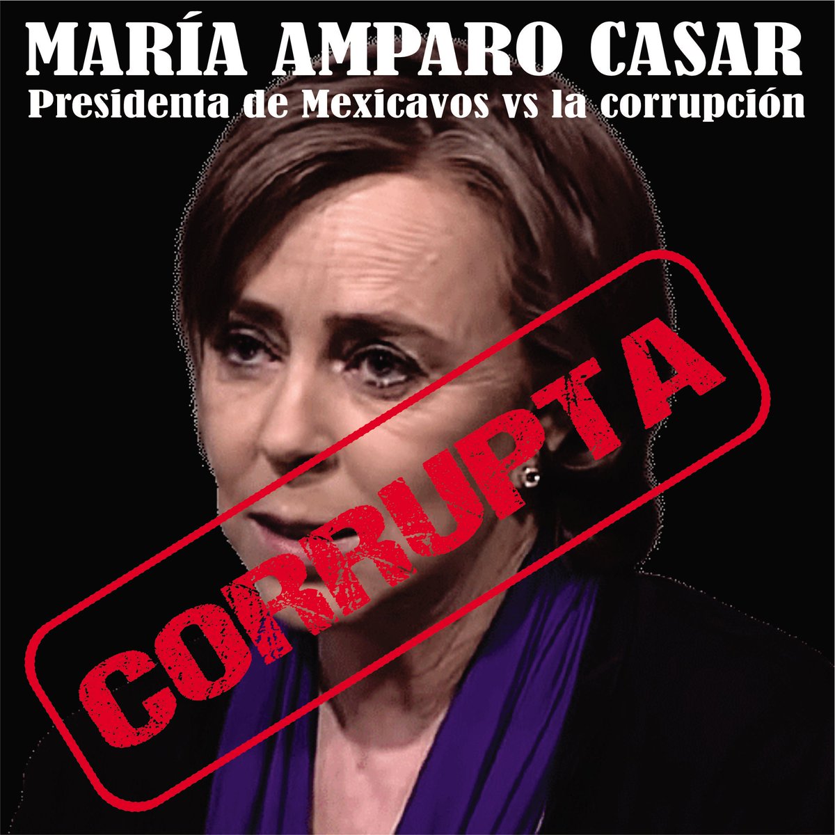 María Amparo Casar Rólenlo 🙋