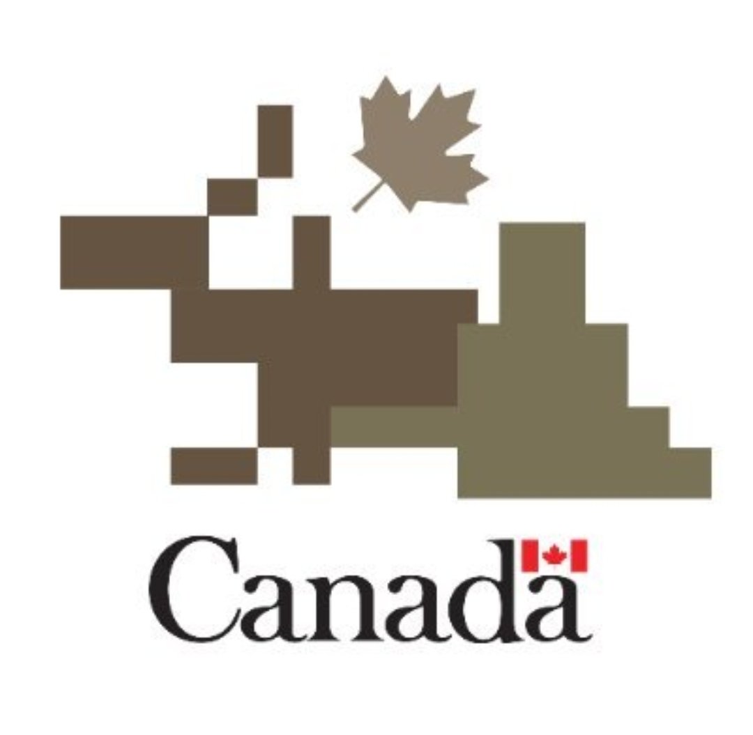 This sh!t stain is the revitalized branding of the Canadian Army.

Anything remote to Canadian symbolism, respect, and nationialism is being removed from Canada's institutions to be the sterile, nonbinary, post national utopia.

You thought it was going to stop with the changes…