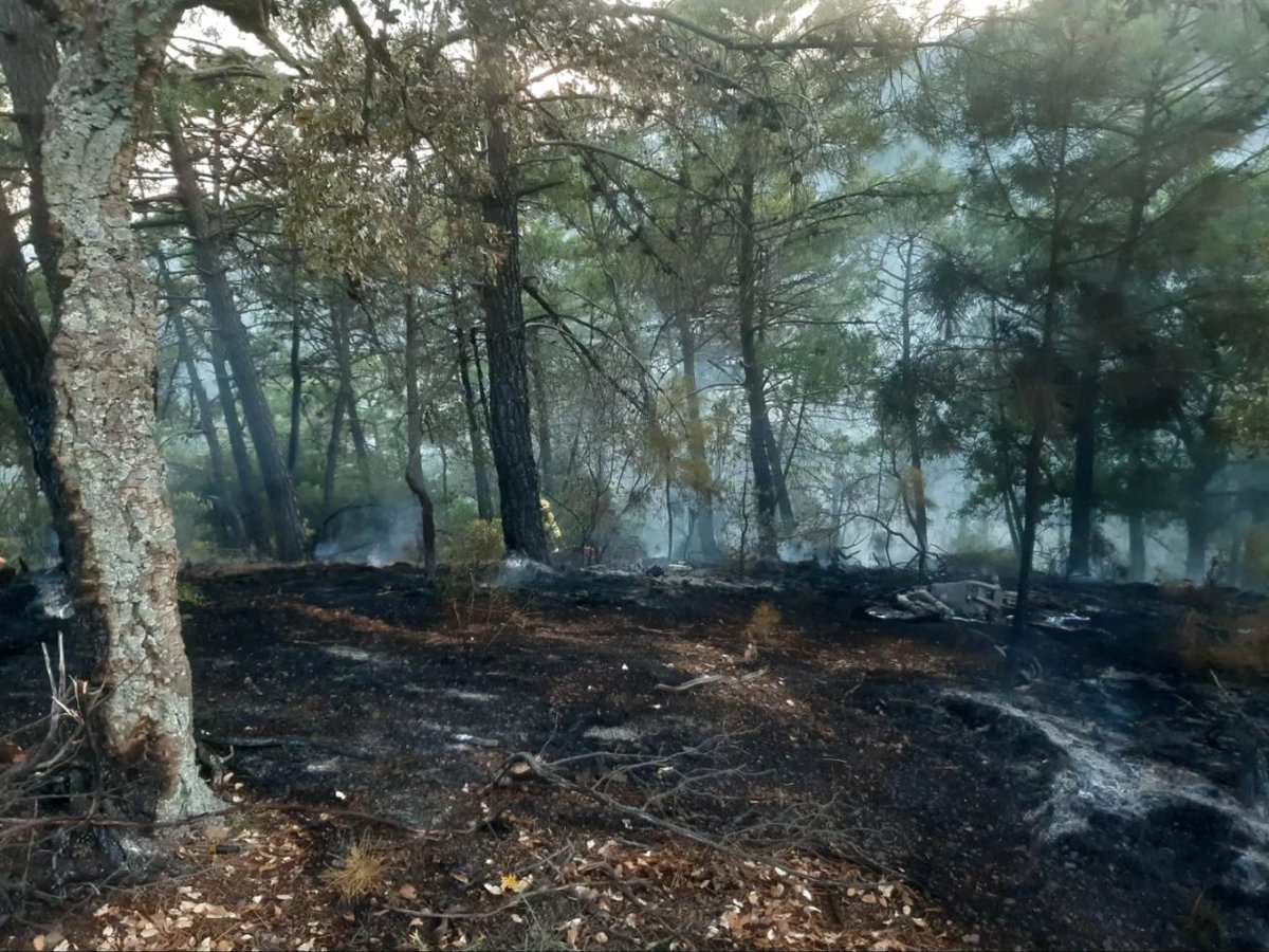 🗓️ 03/05/2024       🕗 20.30 h.

🔴 CONTROLADO #IFBenahavís, #Málaga. Se retiran el medio aéreo y la #BRICA. Seguimos en su remate y liquidación con:

👩‍🚒 1 grupo de bomberos forestales, 1 agente de medio ambiente
🚒 1 autobomba