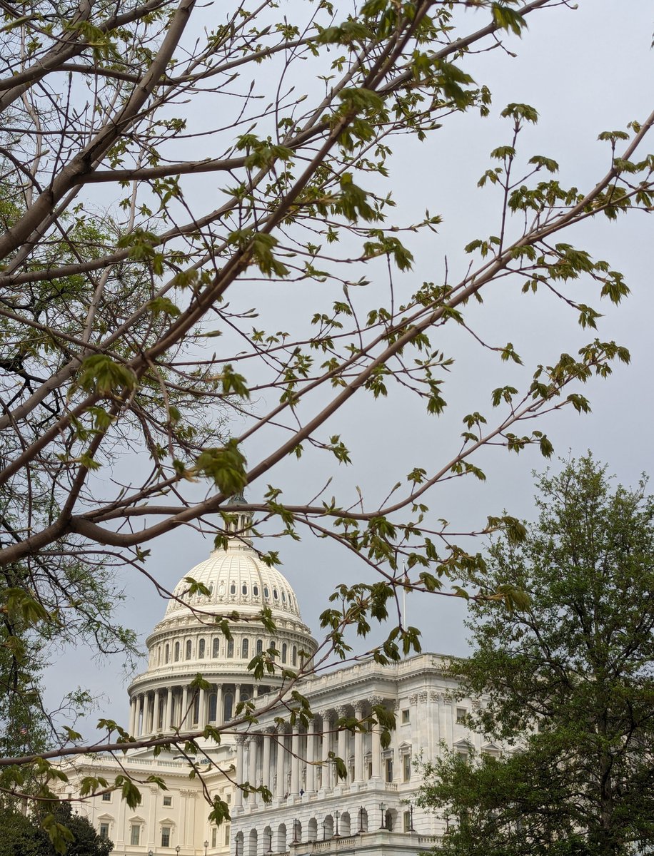 Easterseals Northern California tweet media