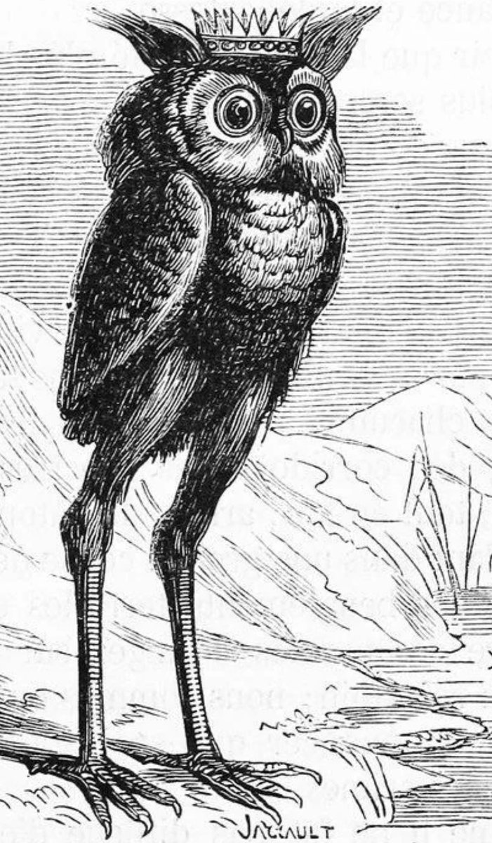 “he’s so hot” the person in question: