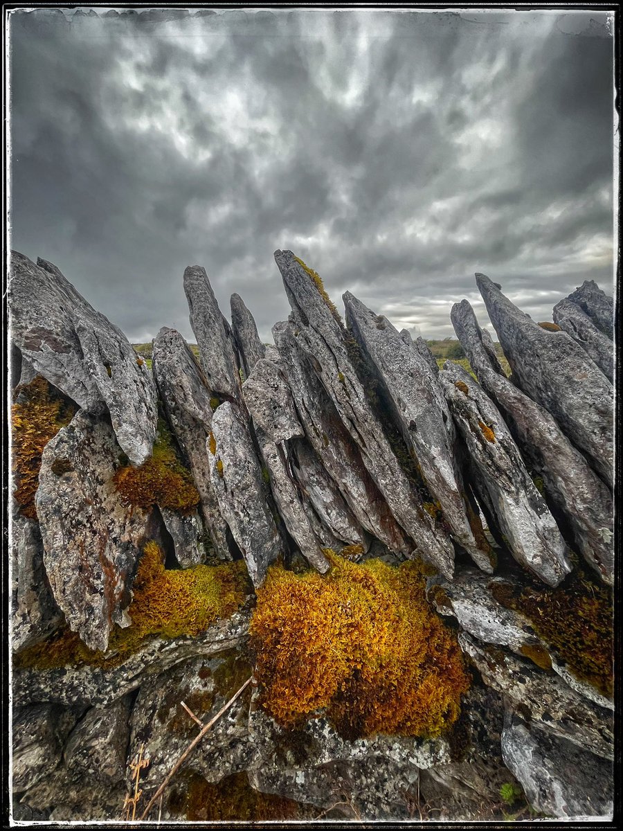 Stoney purchase…

#TheBurren #Ireland