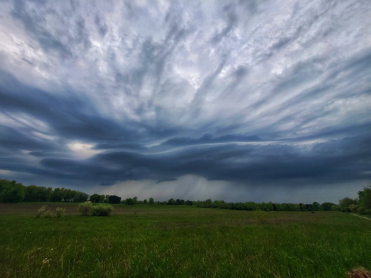 Uh. My backyard right now!! 😍 #ohwx