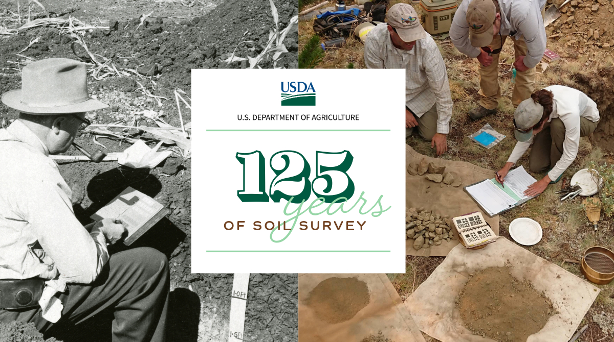 Celebrating 125 years of soil survey! On May 3, 1899, Congress funded @USDA to study soil to help guide partners with ag development & to support community planning & resource development. That year, 720,000 acres were mapped & 4 soil surveys published. soils.usda.gov