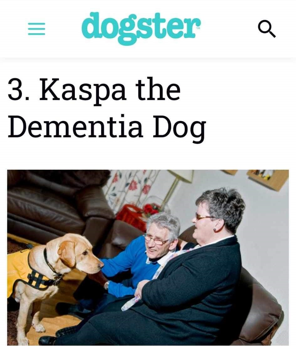 Being assistance dogs our skilled & talented canine companions are found many places others aren’t. Recently @dogster Magazine published an article about 10 Dogs with big jobs – Kaspa at No 3! Glenys had found this & had shared it with us. Lovely recognition - amazing golden boy!