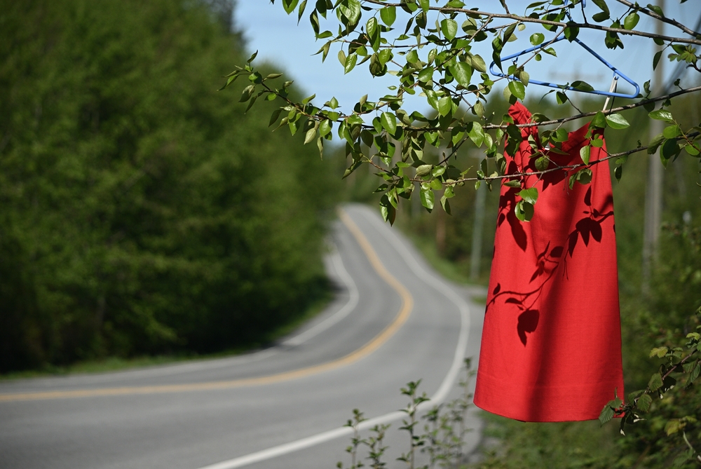 May 5 marks Red Dress Day, a National Day of Awareness for Missing and Murdered Indigenous Women and Girls, which honours their memory and serves as a stark reminder of the scale of loss.
#RedDressDay