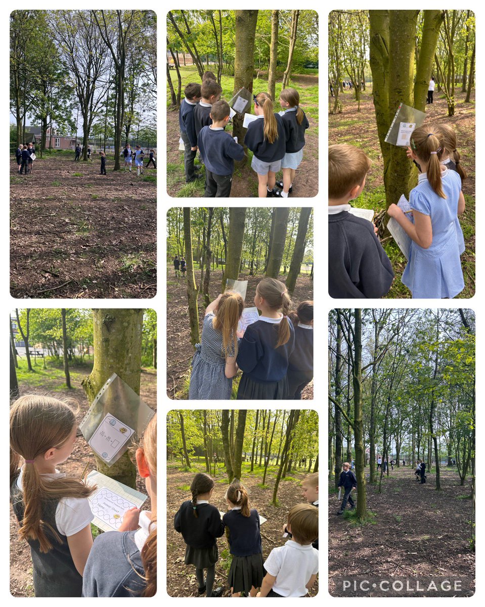 Year 3 had a lovely morning yesterday! We headed outside into the sunshine, and enjoyed applying our knowledge of fractions to a treasure hunt. We had so much fun! ☀️🔍 @BarntonMissC @BarntonMissR