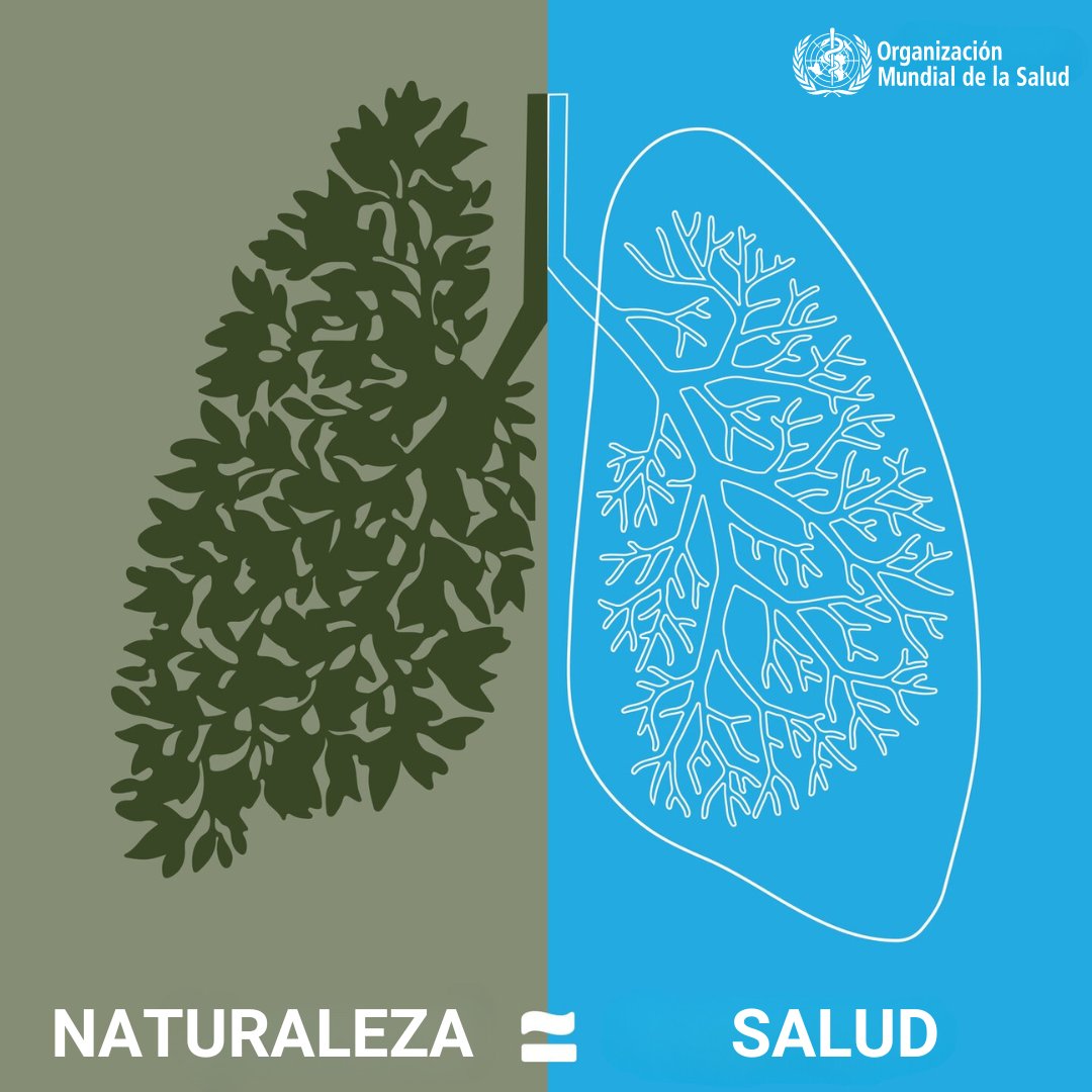 🤍 El aire;
🍲 los alimentos;
🚰 el agua;
🌳 la naturaleza;
🔥 El cambio climático, la contaminación y la destrucción de hábitats: Todo repercute en nuestra salud.

Defender la salud, significa proteger la naturaleza. 🌎

Via: <a href="/WHO/">World Health Organization (WHO)</a>