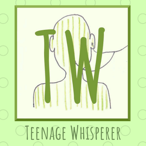 'The strength and consistency of your boundaries shows me the strength and consistency of your care for me' bit.ly/3Q7rP8x  #parenting #teenparenting #lac #youthwork #youthjustice #juvenilejustice