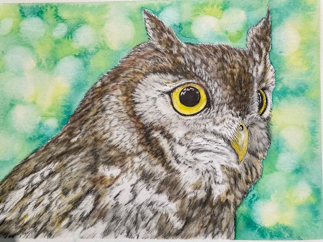 Finally took pics of my Owl watercolours: