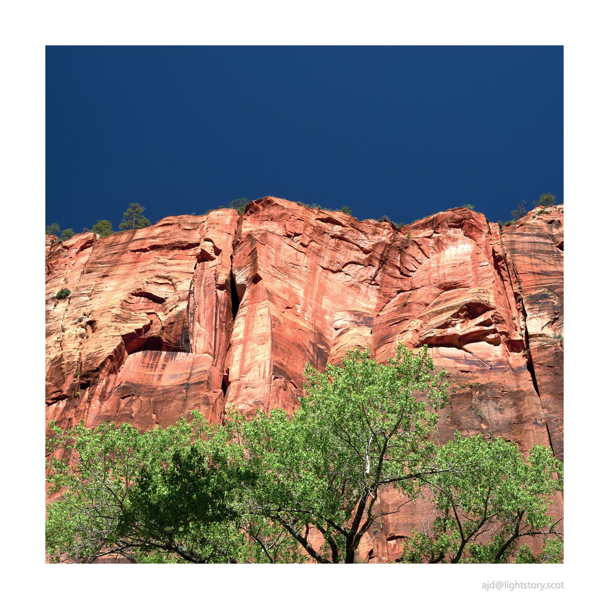 Zion National Park, Utah #Nikon @UKNikon #landscape #landscapephotography