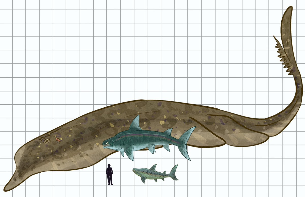 Murky Slug and Anadromutitans(Jangle tooth and shark salmon)