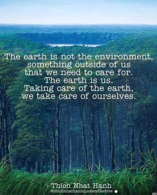 'Taking care of the earth, we take care of ourselves.' ~Thich Nhat Hanh #EarthandChild #ChildHonouring