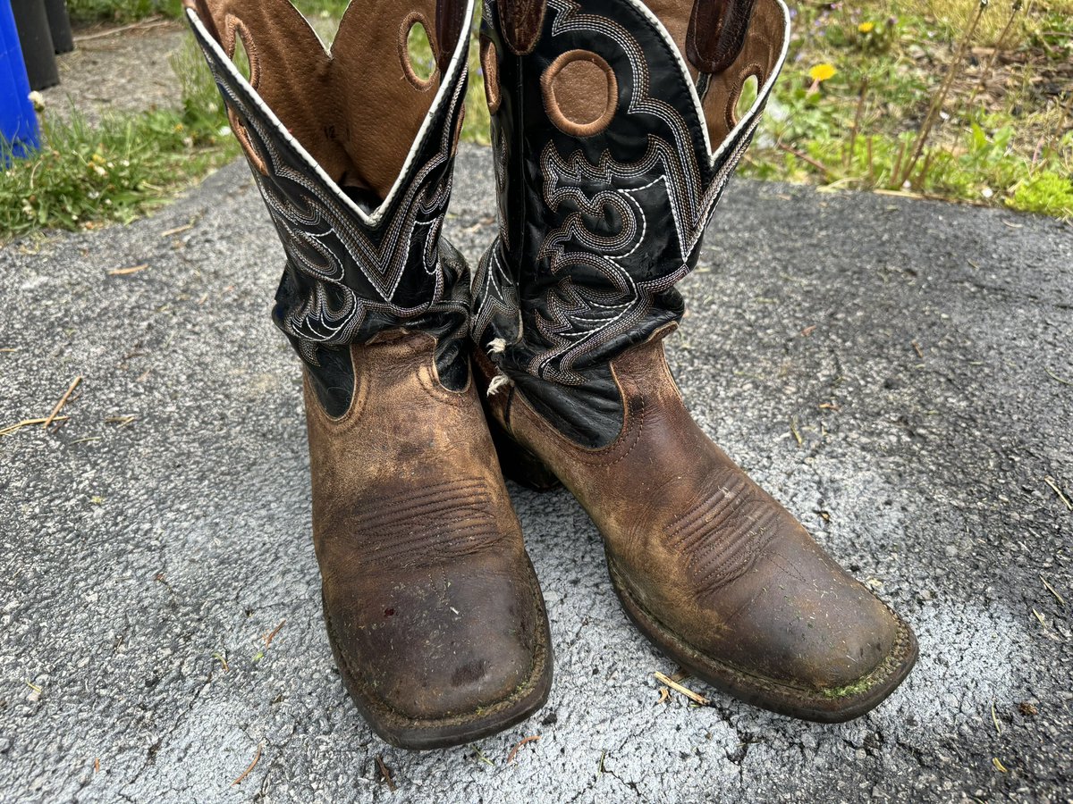 I’ve had these boots forever—10 years? l wore these things everywhere, almost everyday. I wore them across muddy farms. I wore them cutting the grass and walking in streams with my kids. I wore them driving cross country. I wore them hiking national parks. I wore them in court!…