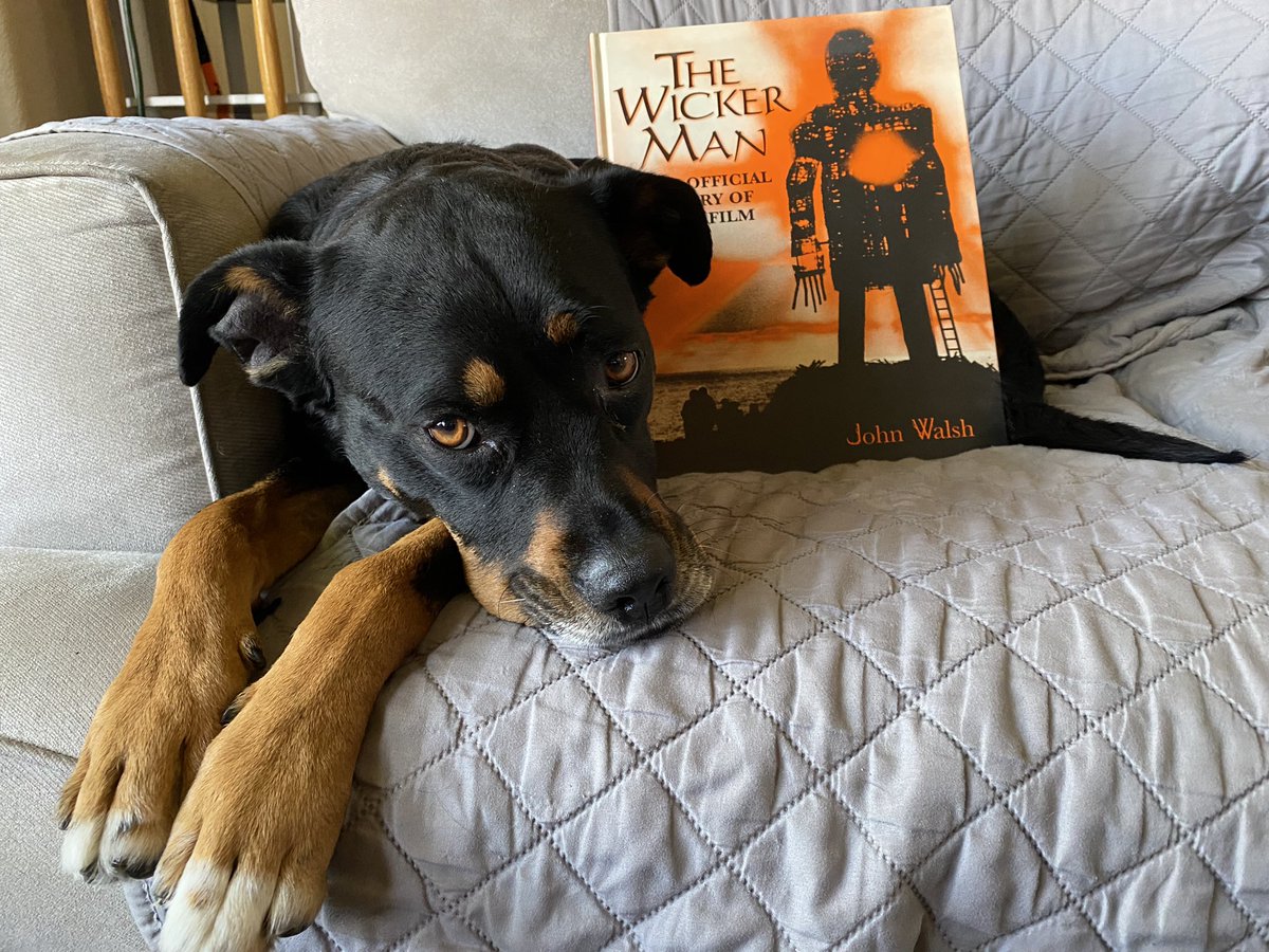 I’m watching #TheWickerMan (Final Cut) and one of my pups reminded me that: I can’t watch the movie without the absolutely delightful book by John Walsh. #MutantFam #FolkHorror #ChristopherLee