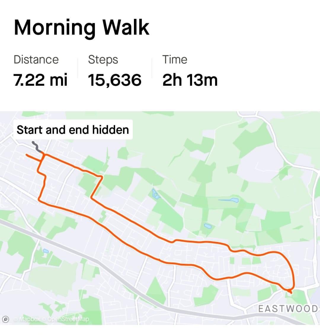 Morning walk today, total distance for the day 8.58 miles, total steps for the day 18,362