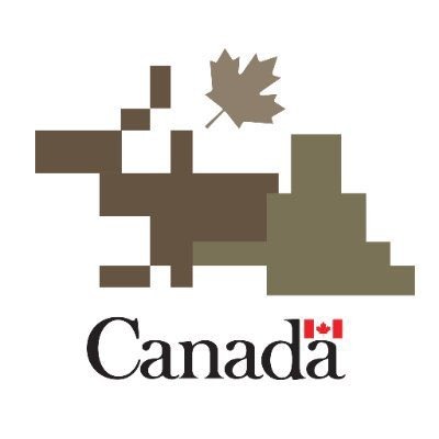 The Canadian Armed Forces has a new Logo. It was professionally designed by GC Strategies for approximately $60 million. It's creator has appropriately named this masterpiece; 'Moose taking a dump in the forest'